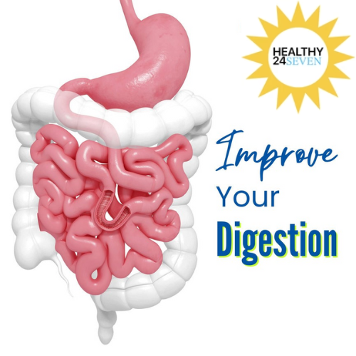 Digestive Support